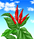 tougarasi2.gif