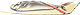 046.gif