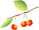 6.gif