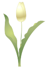 6c.png 6c.png