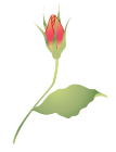 a8.png a8.png