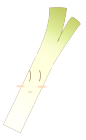 野菜