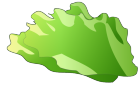 レタス