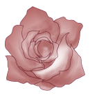 薔薇20070803 薔薇20070803