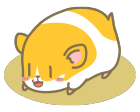 ハムスターのキャラクターイラスト１