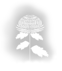 喪中はがき用イラスト素材1 喪中はがき用イラスト素材1
