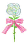 手描きタッチなゾ白バラ