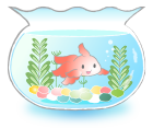 金魚2 金魚2