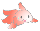金魚4