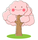 桜１