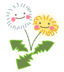 たんぽぽ