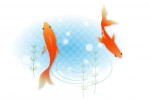 金魚のイラスト