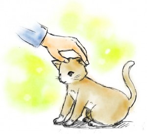 梅と滝