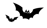 20170926_51